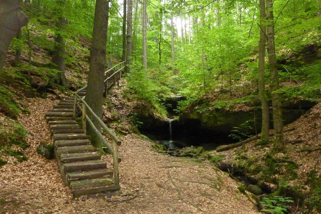 Penzion SKLAŘSKÁ HOSPODA Chřibská Exterior foto